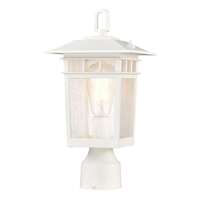 13.8" - 1 Light - 100W Max White Finish Clear Seed Glass Nuvo Lighting