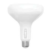 11W - 1,163-1,298 Lumens 2700K-5000K - 110&amp;deg; Flood 90+ CRI - Dimmable BR40 LED - Damp Rated RAB Lighting