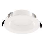 4" Downlight