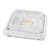 40 Watt - 5,374 Lumens 5000K - 100-277V Soffit/Canopy/Surface Mount LED Garage Canopy Light Maverick Energy Solutions