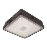 10 Inch Canopy Lights