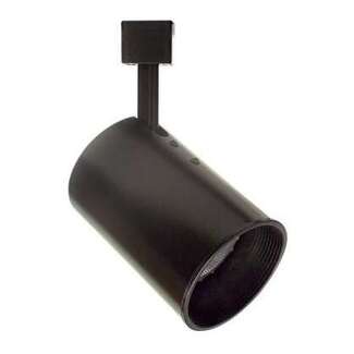 PAR30 - 75W Max Black Finish Elco Lighting