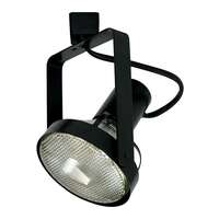 PAR38 - 150W Max Black Finish Nora Lighting