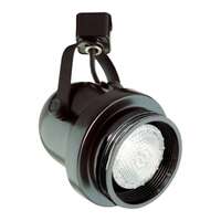 PAR30 - 75W Max Black Finish Elco Lighting
