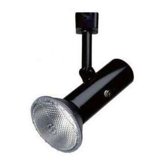 (1) PAR20, PAR16, PAR30 or PAR38; 120V, E26 medium base. - 250W Max Black Finish ConTech Lighting