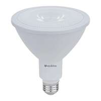 16 Watt - 1,100 Lumens 5000K - Flood 90+ CRI - Dimmable PAR38 LED Overdrive