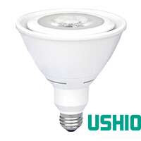 19 Watt - 1,200 Lumens 2700K - 40&amp;deg; Flood 80+ CRI - Dimmable PAR38 Led - Wet Rated Ushio